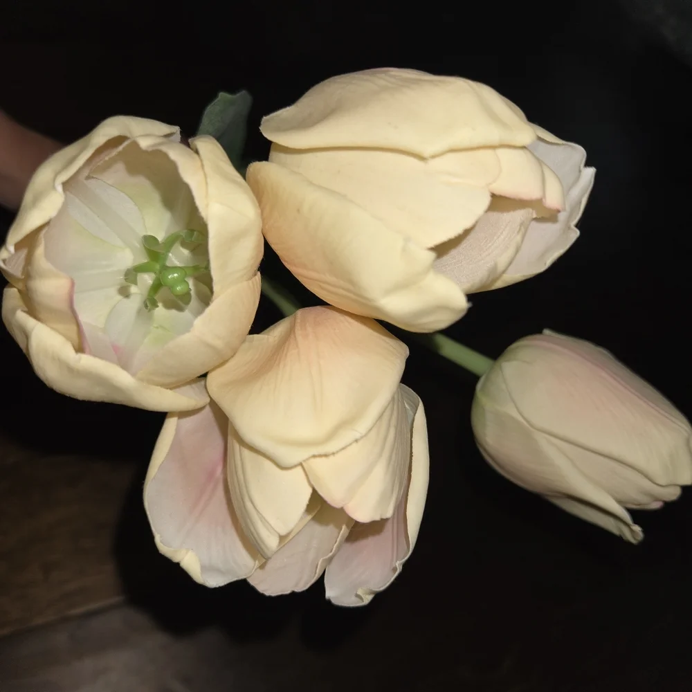 🌟Set Of 4 Elegant Cream Tulip Stems